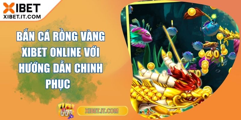 Bắn Cá Rồng Vàng XIBET Online Với Hướng Dẫn Chinh Phục Bắn Cá Rồng Vàng XIBET Online Với Hướng Dẫn Chinh Phục