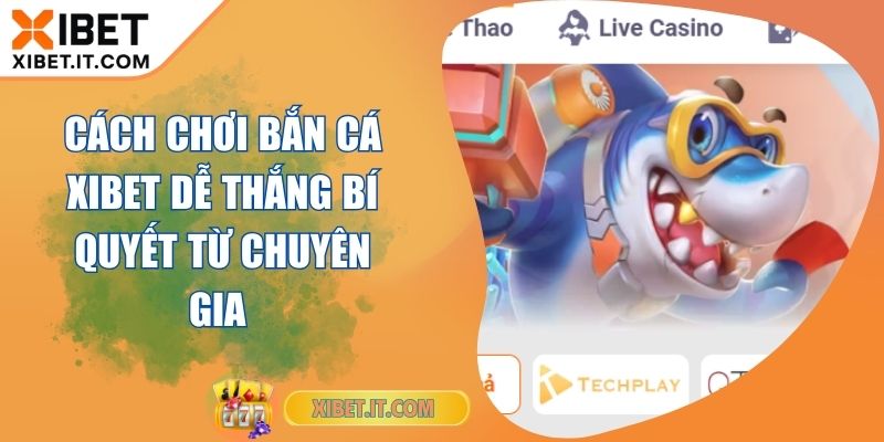 Cách Chơi Bắn Cá XIBET Dễ Thắng Bí Quyết Từ Chuyên Gia Cách Chơi Bắn Cá XIBET Dễ Thắng Bí Quyết Từ Chuyên Gia